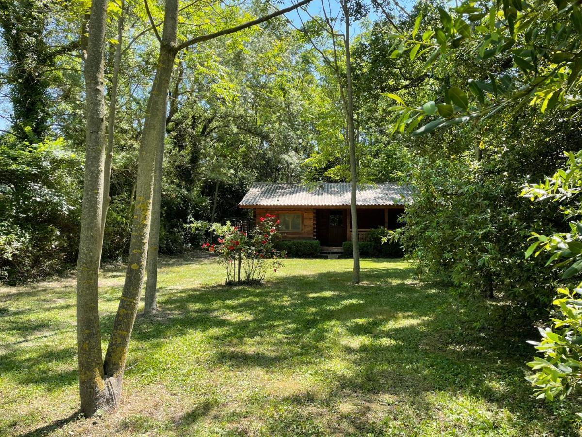Bastidette Florestane Saint-Rémy-de-Provence Buitenkant foto